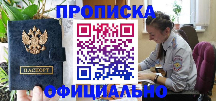 прописка для школы в Торопеце